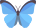 Papillon bleu logo